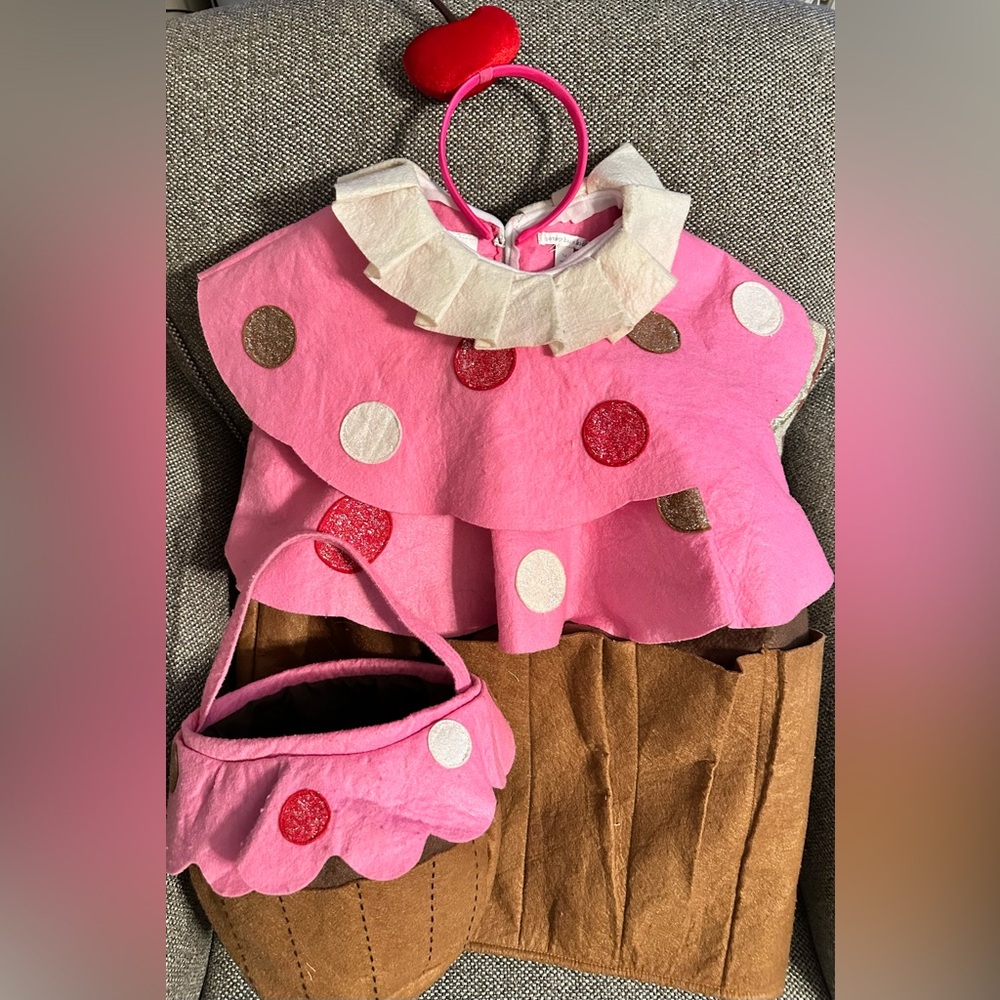 Pottery Barn Kids Custom Cupcake Halloween Costume Size 7/8